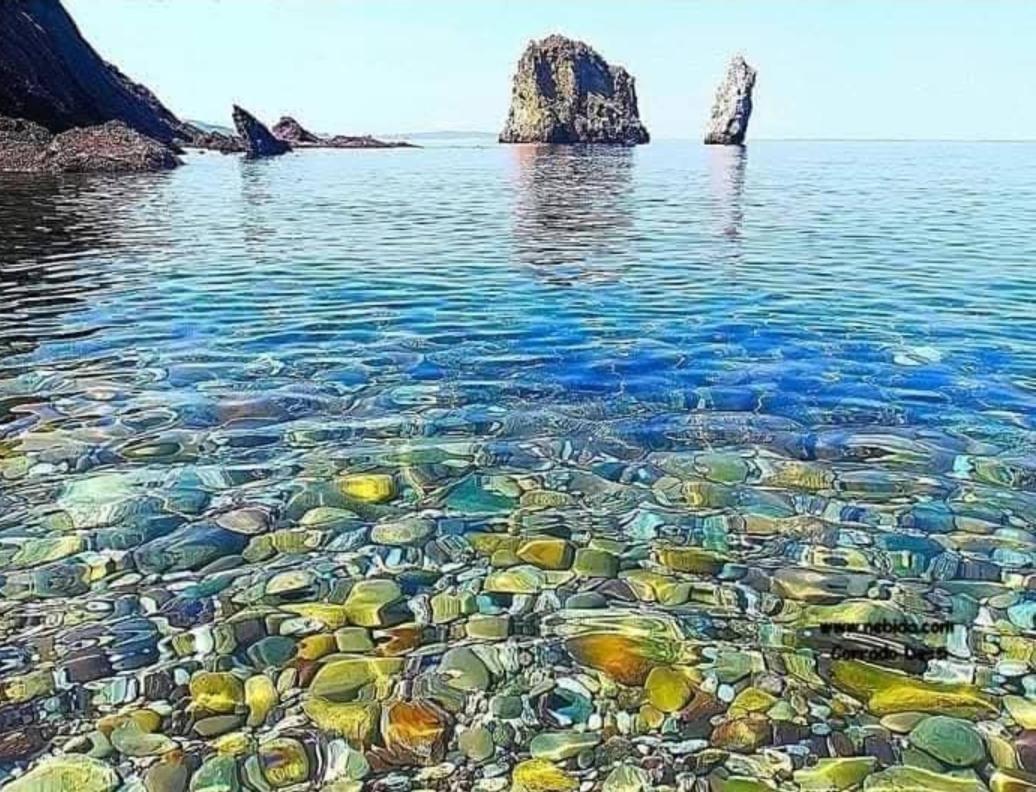Casa Vacanza Sa Dommu De Teresa Nebida Buitenkant foto